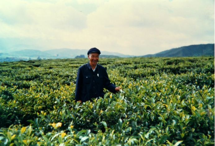 观杨善洲电影观后感_政绩实绩_