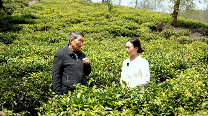 _观杨善洲电影观后感_政绩实绩