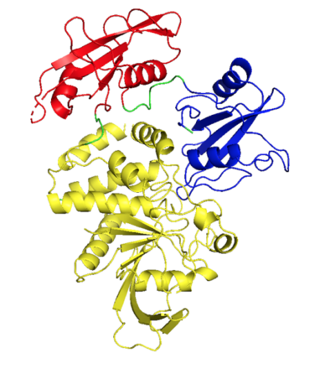 蛋白酪氨酸磷酸酶SHP2抑制剂 第2张