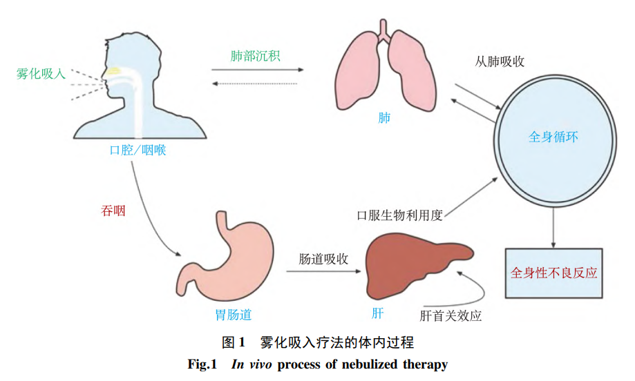 医用口含雾化器怎么用【药我说】唠一唠雾化吸入那些事_https://www.jmylbn.com_新闻资讯_第2张
