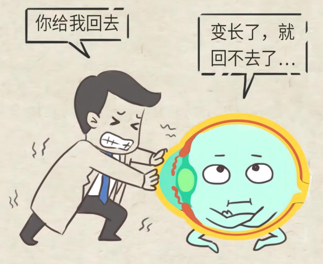 怎么测角膜直径新版儿童眼轴长度参考标准_https://www.jmylbn.com_新闻资讯_第1张