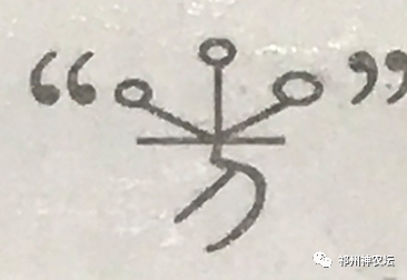 桔梗科党参属中药有几种？桔梗与党参是一样的吗