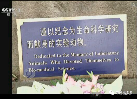 世界实验动物日 | 向为科学献身的生命致敬!感谢有你! - chrome插件网