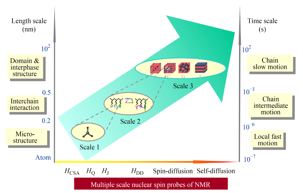 南开大学孙平川研究员课题组综述：固体核磁共振技术在高分子表征研究中的应用的图1