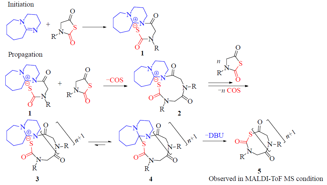 华东理工陶鑫峰特聘副研究员和林绍梁教授团队：基于NNTA可控聚合的环形聚类肽合成与表征的图1