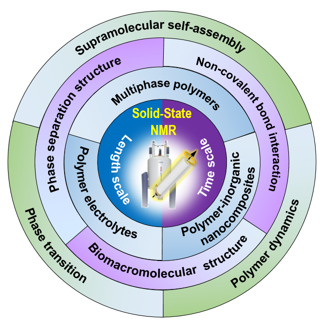 南开大学孙平川研究员课题组综述：固体核磁共振技术在高分子表征研究中的应用的图2