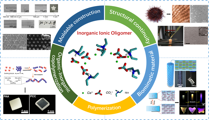 浙江大学刘昭明团队特约专论：无机离子聚合与交联及其应用的图1