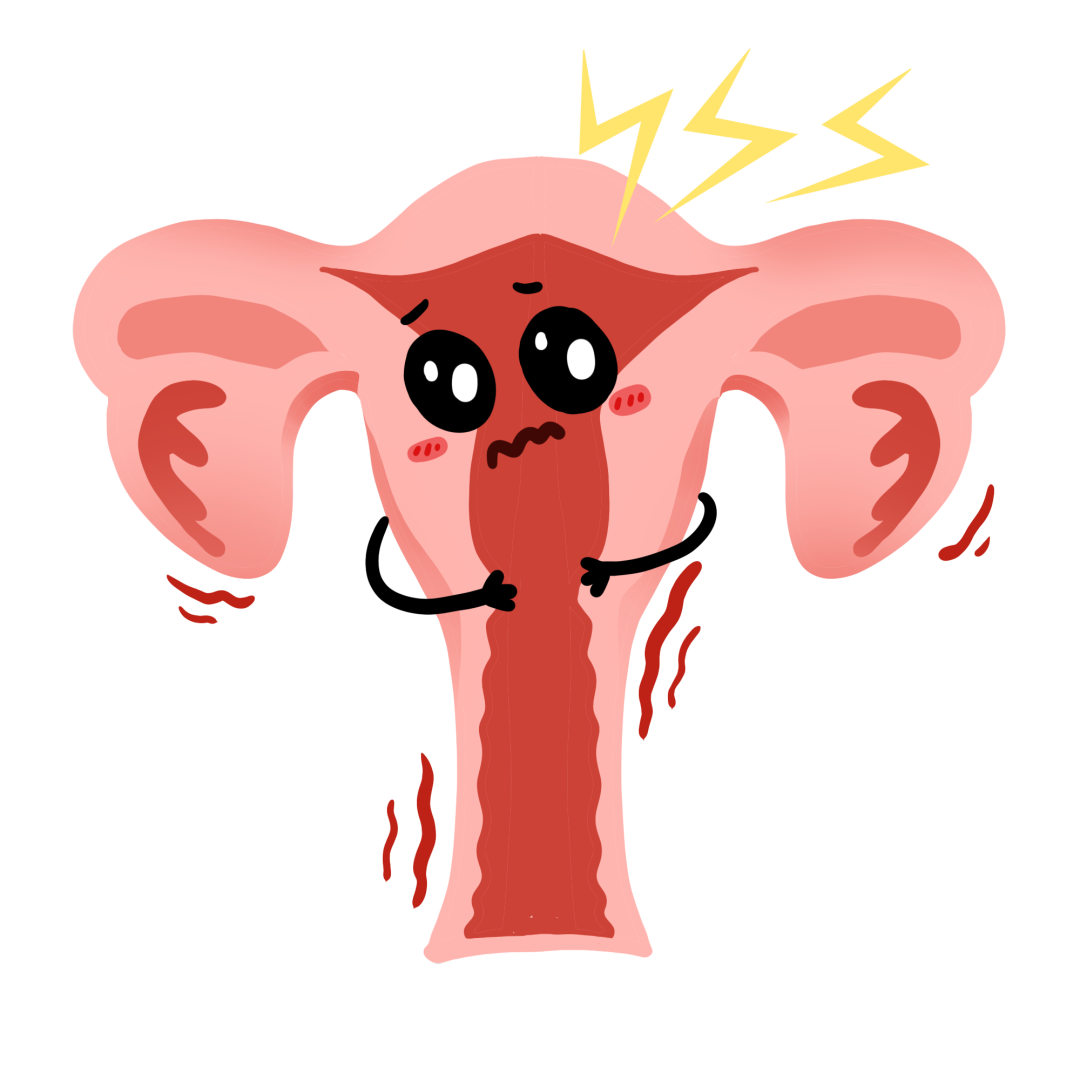 ͼƬ