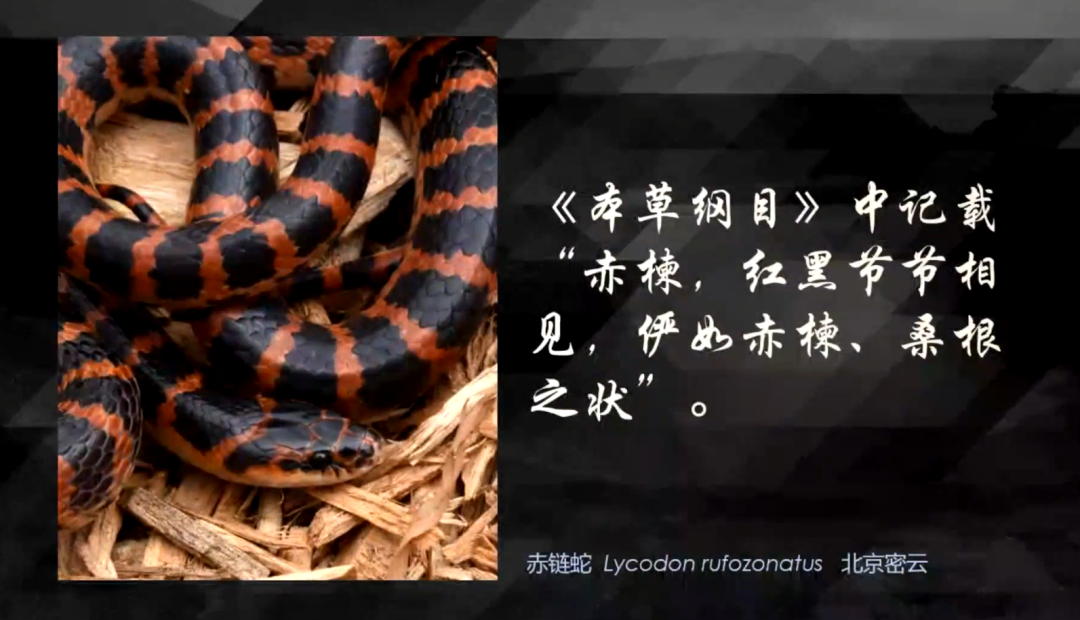10种食物改变瞳孔颜色_10种食物改变瞳孔颜色_10种食物改变瞳孔颜色