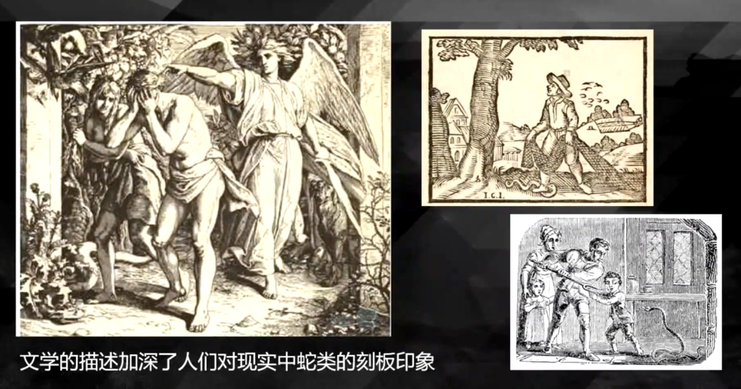 10种食物改变瞳孔颜色_10种食物改变瞳孔颜色_10种食物改变瞳孔颜色