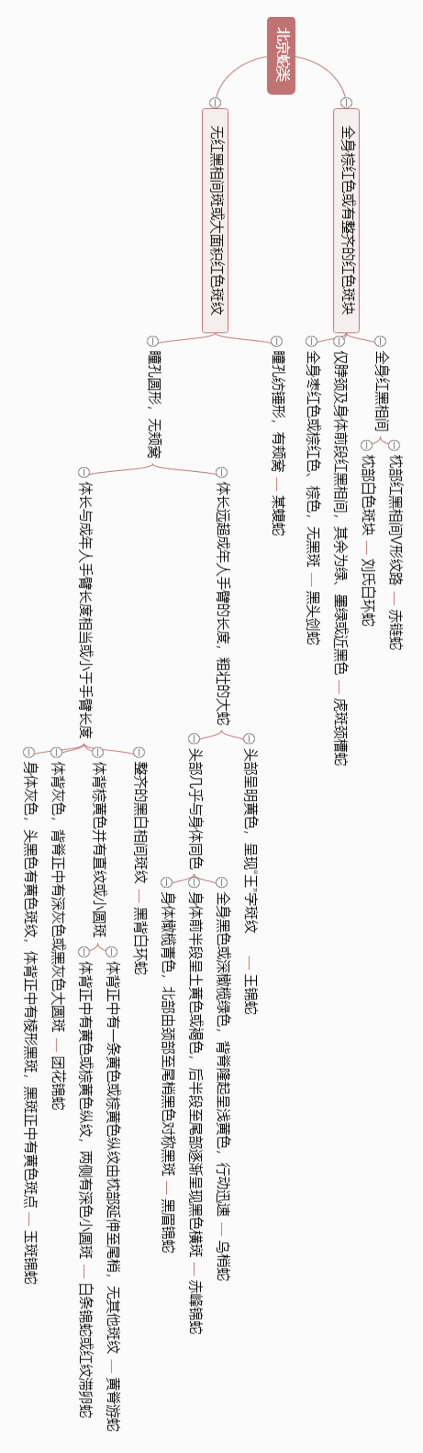 10种食物改变瞳孔颜色_10种食物改变瞳孔颜色_10种食物改变瞳孔颜色