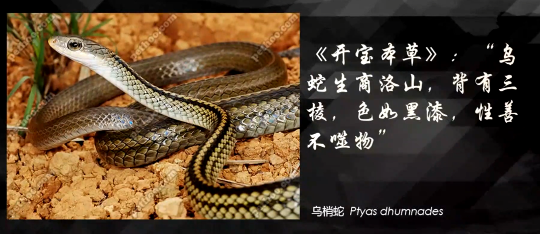 10种食物改变瞳孔颜色_10种食物改变瞳孔颜色_10种食物改变瞳孔颜色