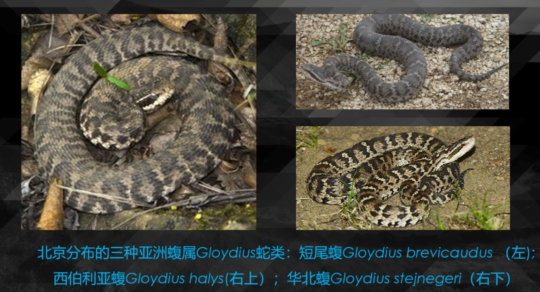 10种食物改变瞳孔颜色_10种食物改变瞳孔颜色_10种食物改变瞳孔颜色