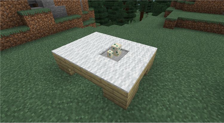 海龟蛋可以煎着吃 没想到吧 我的世界minecraft 微信公众号文章阅读 Wemp