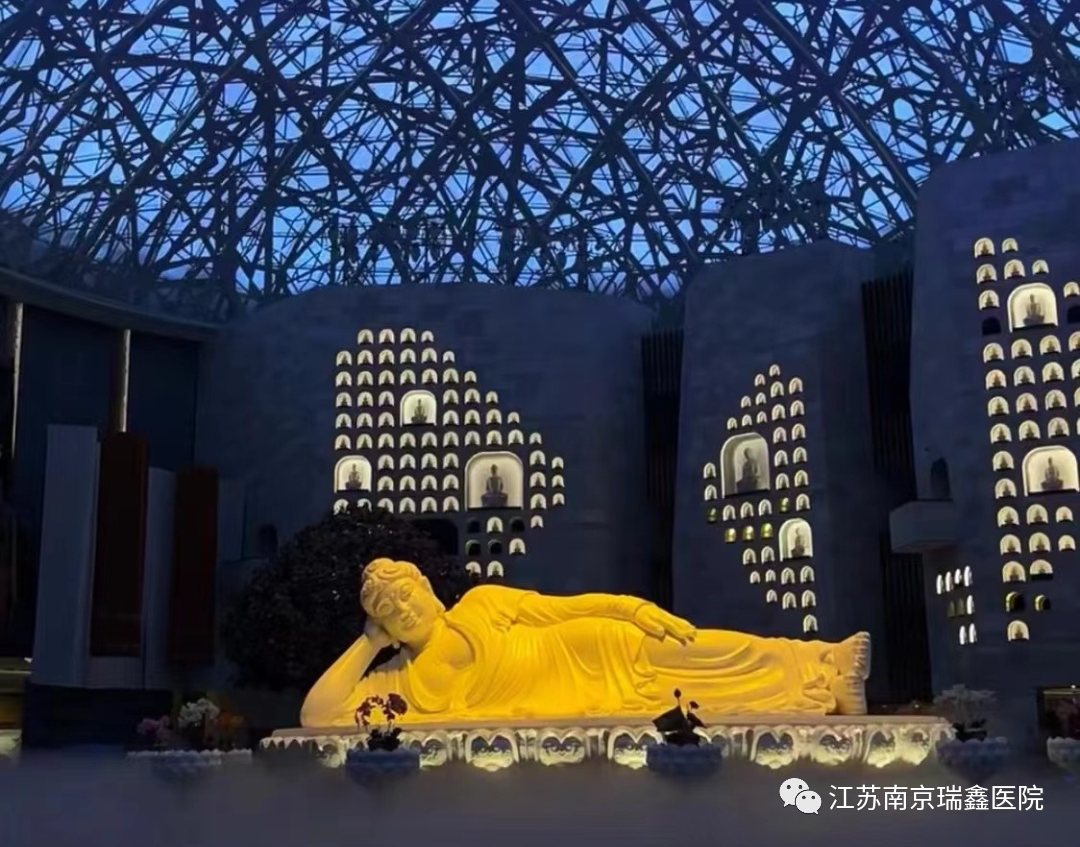 中进轮椅怎么样轮椅南京行活动报名正在进行中，大家快点行动起来吧！_https://www.jmylbn.com_新闻资讯_第10张