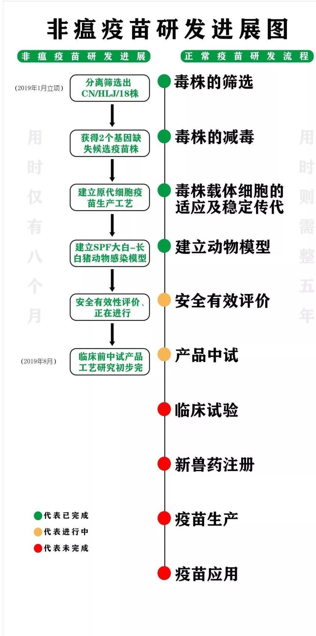 重磅!中国农科院:非洲猪瘟疫苗即将进入临床试验阶段 重磅!中国农科院:非洲猪瘟疫苗即将进入临床试验阶段