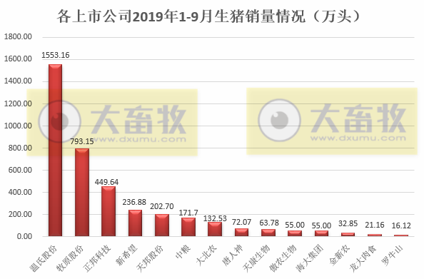 温氏：对非洲猪瘟的防疫已经由“防守”转向“进攻”！预计明年4月生猪出栏量回升