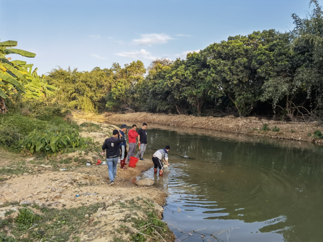 以及白盆珠水库,增博联和水库,显岗水库等10个重点湖库开展全面的调查