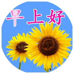 冬天问候关心祝福短信_日常问候语及关心话_早安问候祝福关心短信