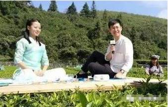 黑茶荣登中央电视台，这个才是最完整的！