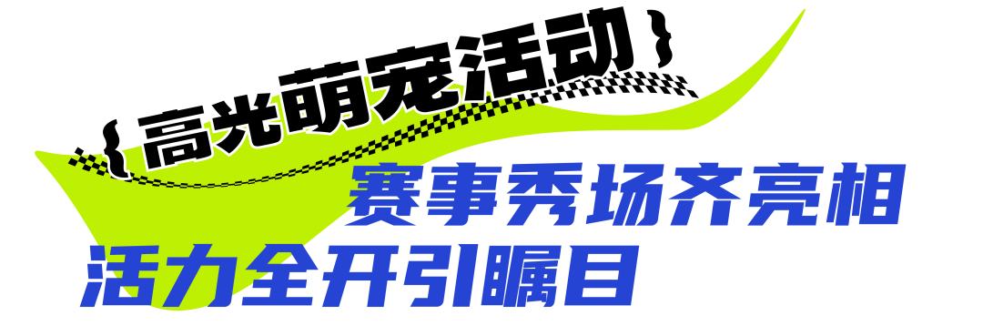 微信图片_20241204161934.png