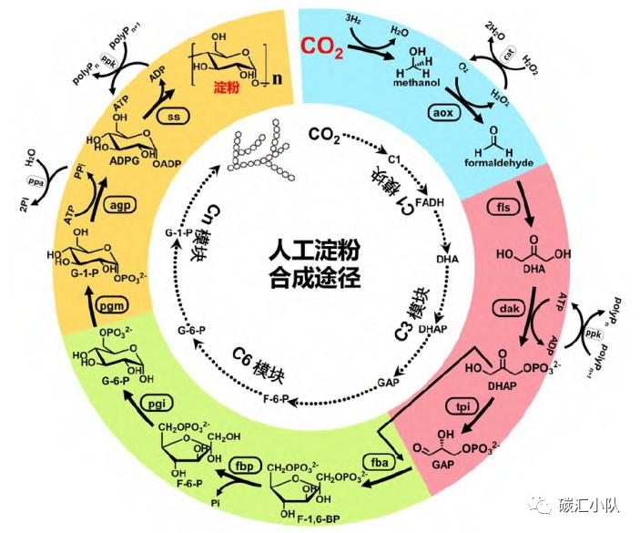 葡萄糖化学式_d-葡萄烯糖_味觉糖 葡萄味