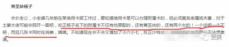 零花钱2亿的黄圣依，竟嫁了一个伪豪门 百亿身价靠吹嘘？杨子配偶栏并非黄圣依 宫斗失败才复出？（组图） - 85