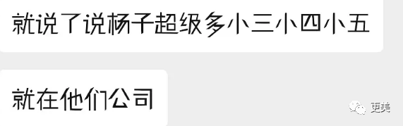 零花钱2亿的黄圣依，竟嫁了一个伪豪门 百亿身价靠吹嘘？杨子配偶栏并非黄圣依 宫斗失败才复出？（组图） - 86