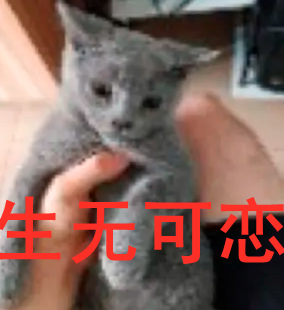 别嘲上海名媛了，拼多多高富帅装X翻车现场精彩100倍…（组图） - 27
