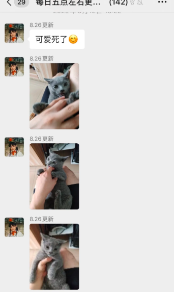 别嘲上海名媛了，拼多多高富帅装X翻车现场精彩100倍…（组图） - 26
