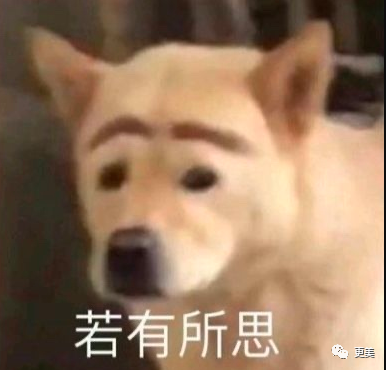 花心渣男郑钧和刘芸的故事，远不止5角恋这么简单！（组图） - 59