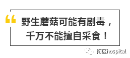 什么是超声容积探头盆底超声检查——让难言之隐不再难查_https://www.jmylbn.com_新闻资讯_第19张