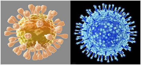 怎么鉴定呼吸套装真伪呼吸道感染？——呼吸道病原体核酸联合检测来精准鉴别_https://www.jmylbn.com_新闻资讯_第5张