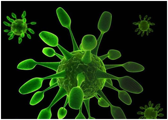 怎么鉴定呼吸套装真伪呼吸道感染？——呼吸道病原体核酸联合检测来精准鉴别_https://www.jmylbn.com_新闻资讯_第4张