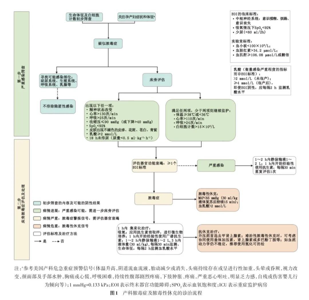 640 (2).png