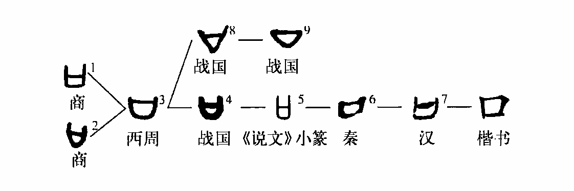 口的演变过程图片图片