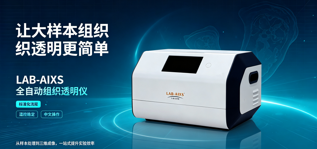 全自动组织透明化仪，解锁完整器官 3D 观测新方案