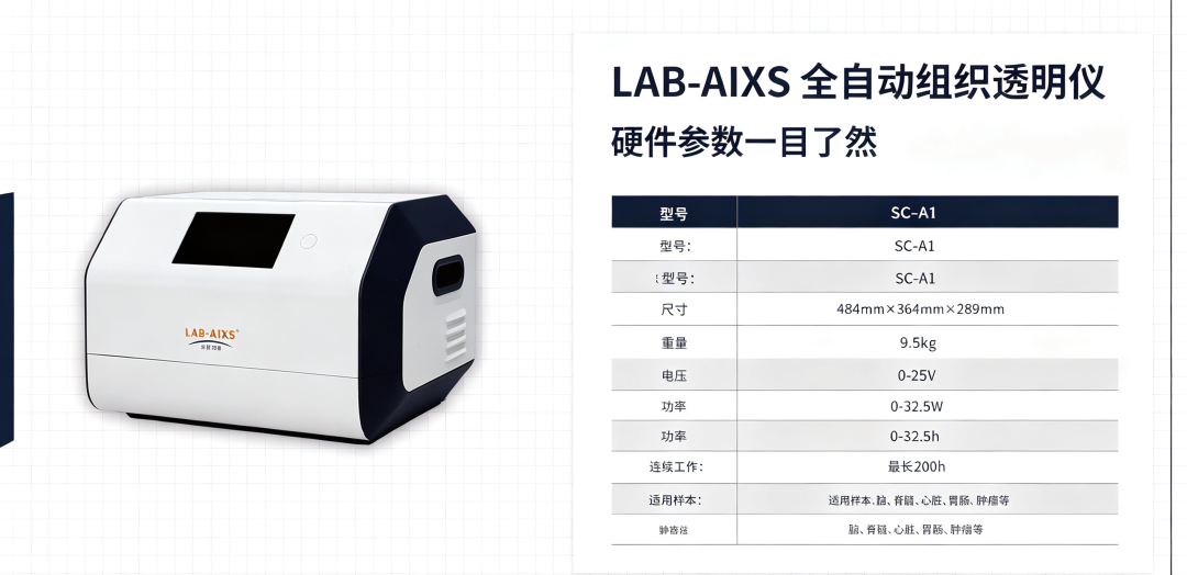 全自动组织透明化仪，解锁完整器官 3D 观测新方案