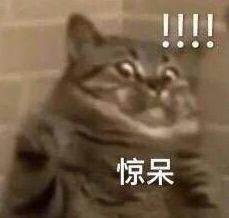 还有这操作？一只熊妈妈带着俩熊宝宝跑到人家后院泡澡，狗子惊呆了！（组图） - 12