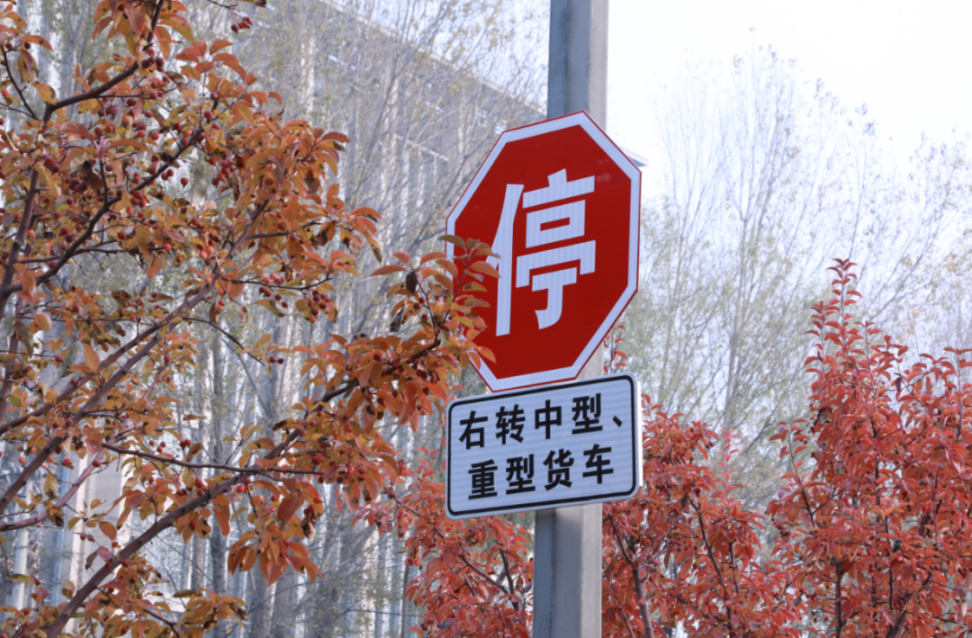 39ed9780469c8297c8c915e71ac387c5.png