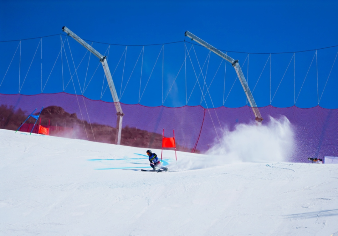 DSC07818-opq3500884145 (1).jpg