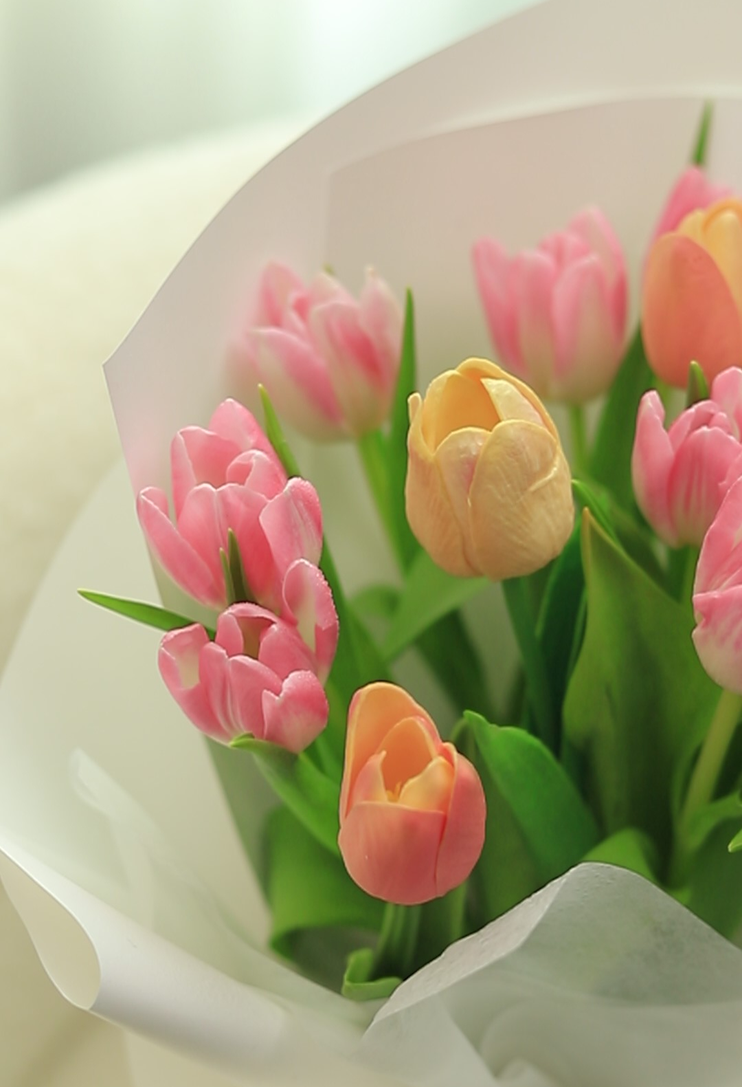 感恩节：感恩有你！