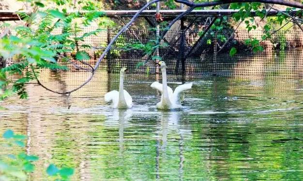 浮水人口_人口普查图片(2)