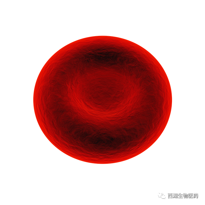 red-blood-cell-1861640_960_720.png