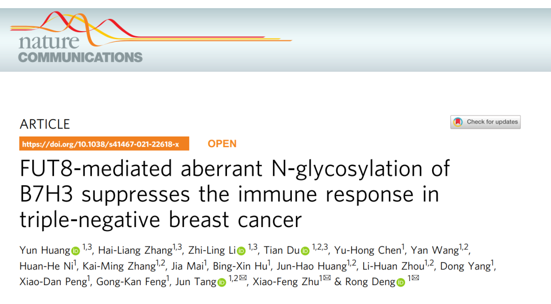 高水平文章解读 中山大学肿瘤防治中心邓蓉 朱孝峰 唐军合作发现b7h3异常n 糖基化修饰促进三阴乳腺癌免疫逃逸的新机制
