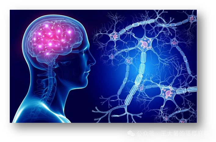 #107 CT重建的3D深度学习技术——深度学习图像重建算法分类