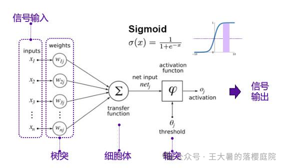 #107 CT重建的3D深度学习技术——深度学习图像重建算法分类