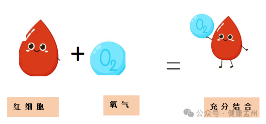 指脉氧监测是什么【健促专栏】您了解“指脉氧”吗？_https://www.jmylbn.com_新闻资讯_第2张
