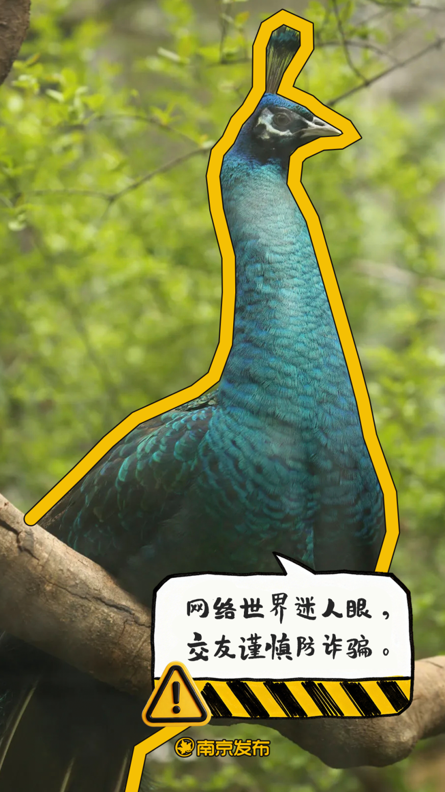 07.png