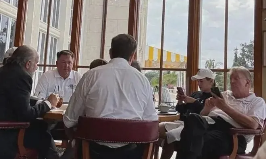 马斯克领导的“狗”部门，能蹦跶起来吗？